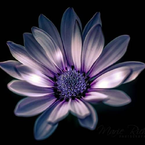 بهروز گراوند دی لحظه ی خداحافظیه خانوادم هانه کوره